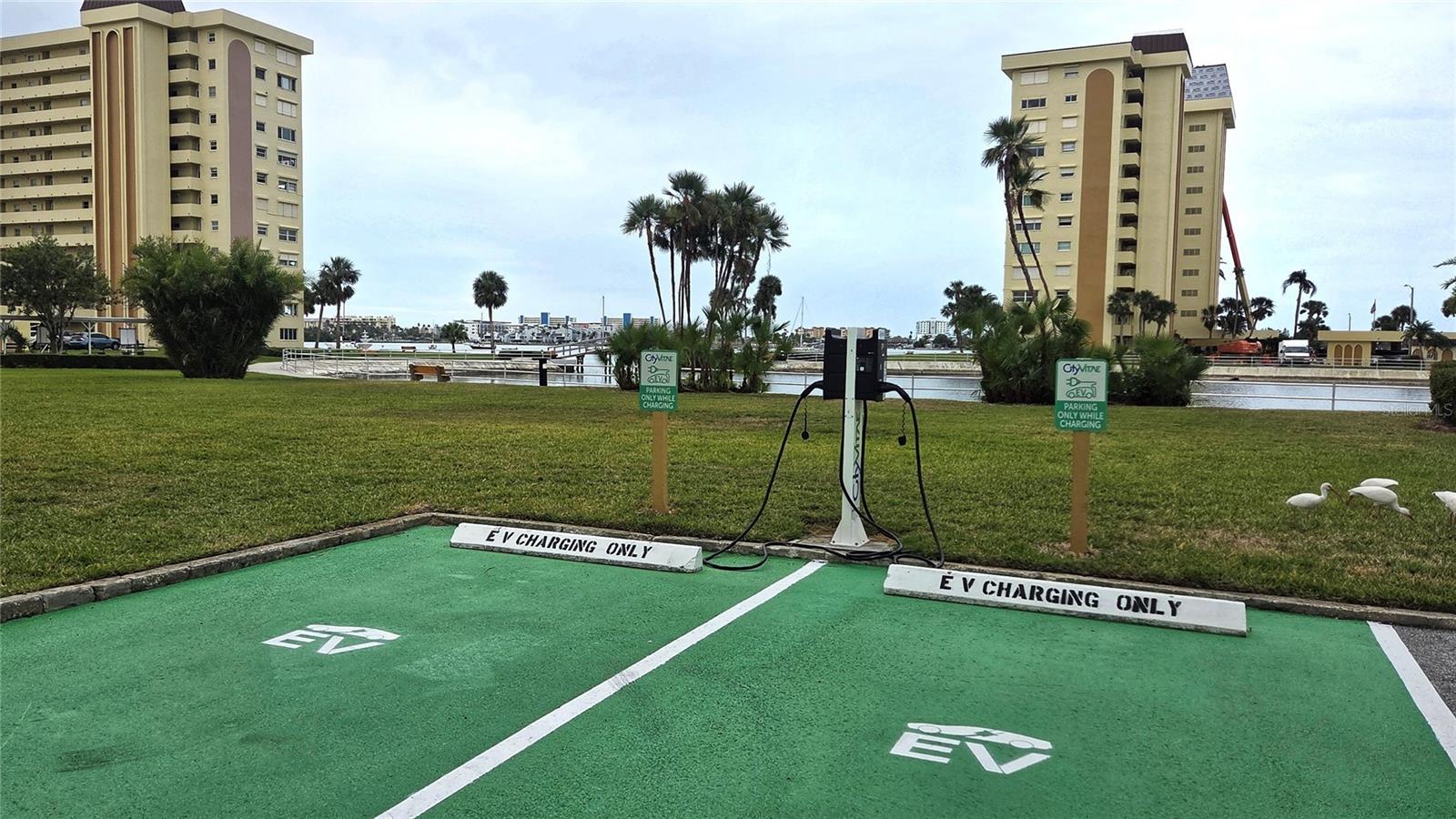 Image 18 of 29 For 4550 Cove Circle 406