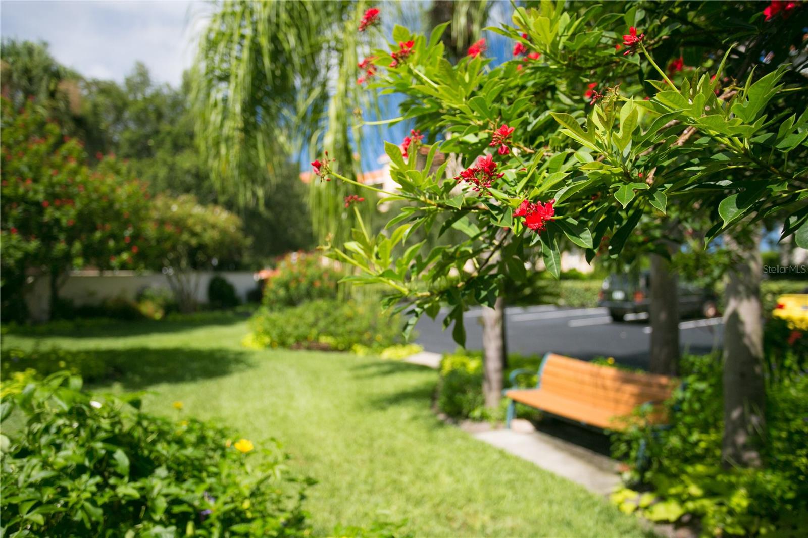 Image 55 of 62 For 4737 Dolphin Cay Lane S 207