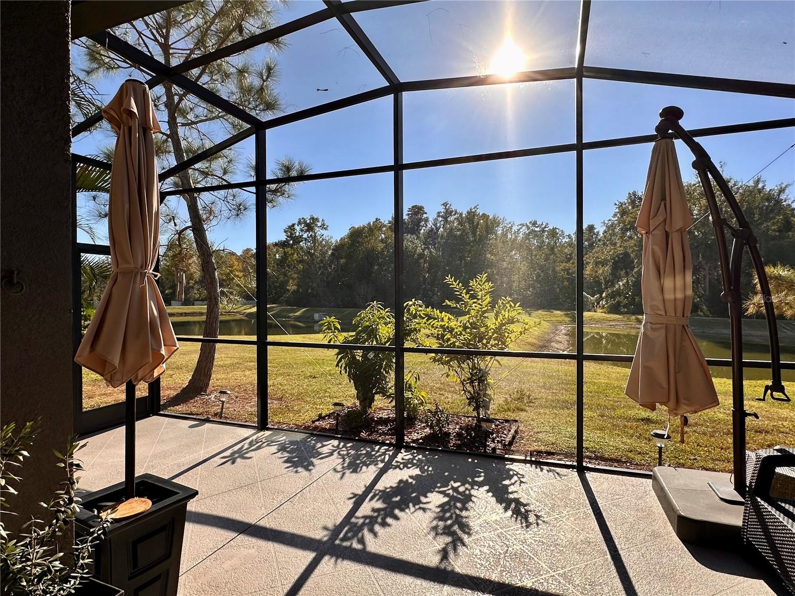 Image 32 of 33 For 28450 Tranquil Lake Circle