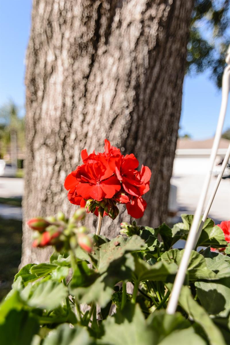 Image 64 of 66 For 3193 Sandy Ridge Drive