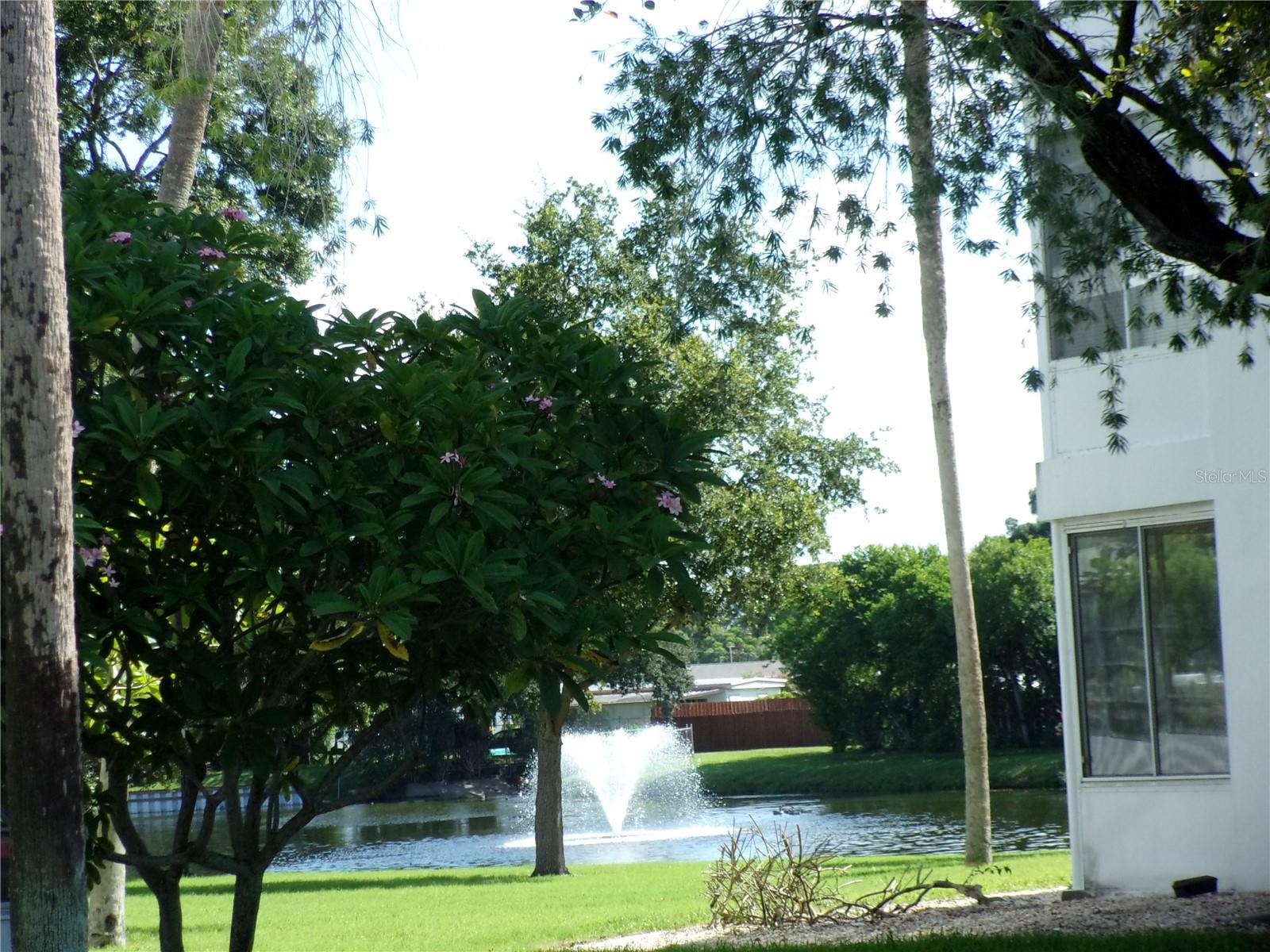 Image 29 of 29 For 11224 82nd Avenue 210