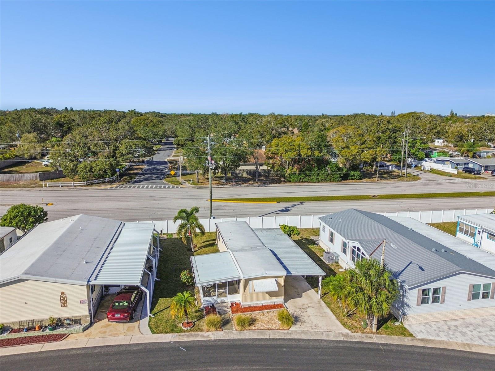 Image 22 of 45 For 86 Pindo Palm Street W