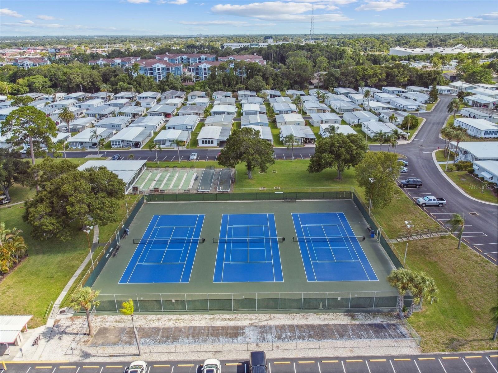 Image 35 of 45 For 86 Pindo Palm Street W