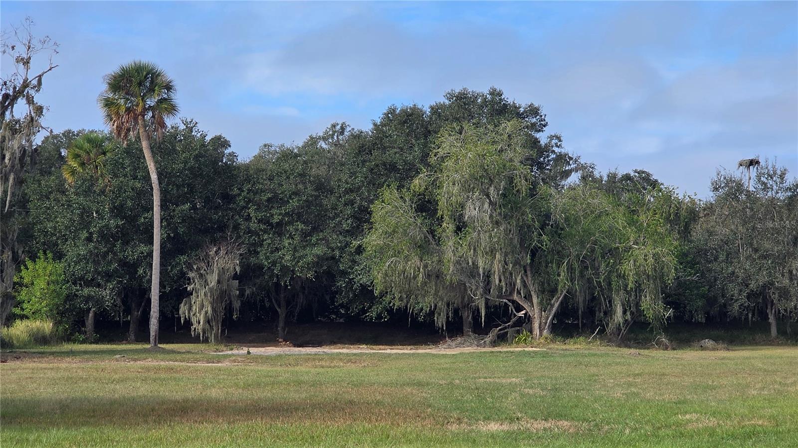 Image 2 of 6 For 15311 Fishhawk Heights Run