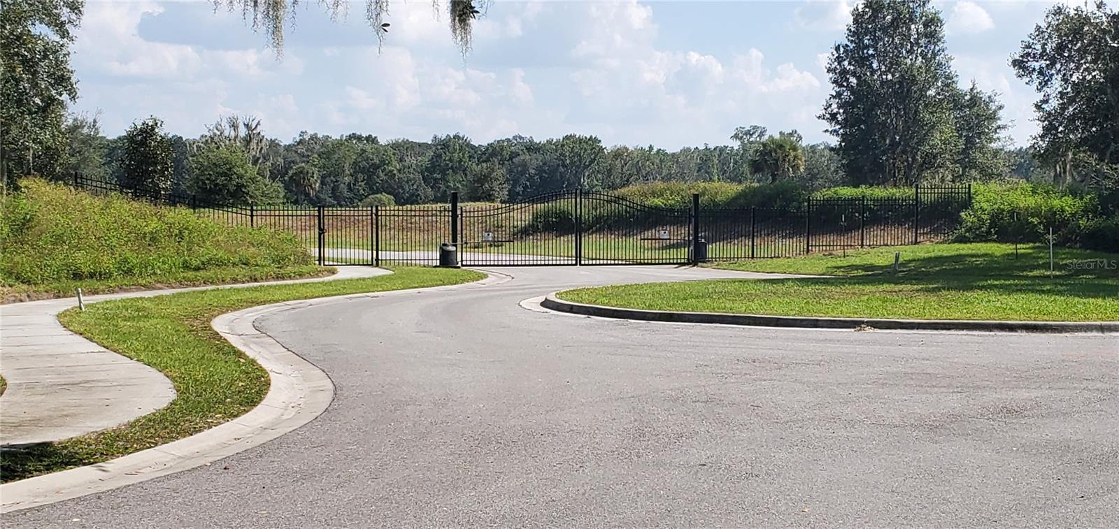 Image 3 of 6 For 15311 Fishhawk Heights Run