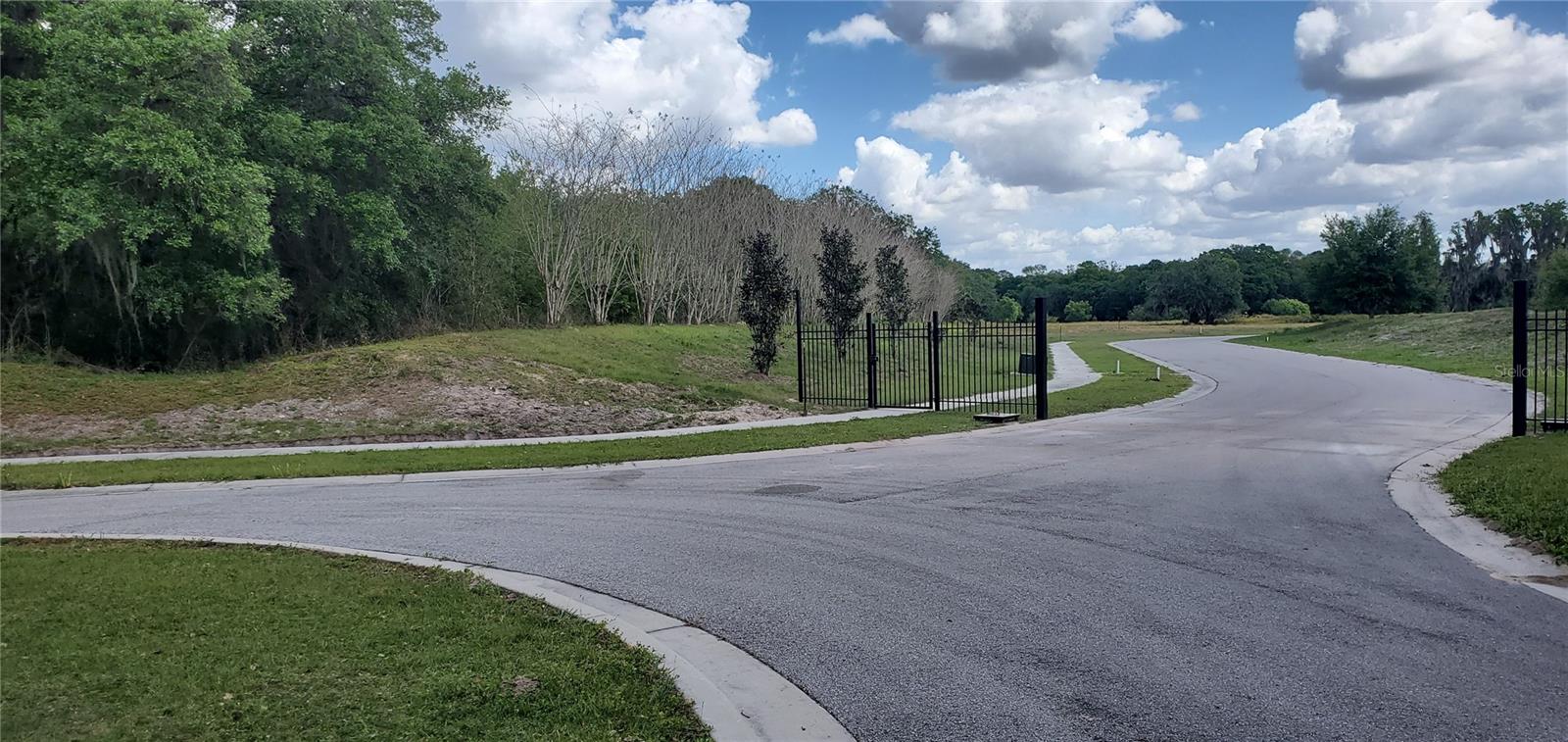 Image 4 of 6 For 15311 Fishhawk Heights Run