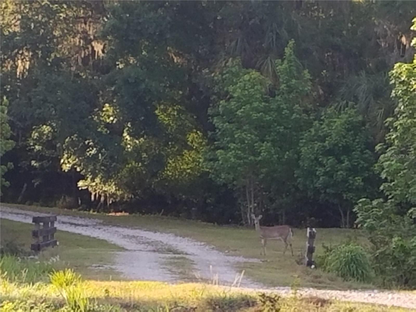 Image 6 of 6 For 15311 Fishhawk Heights Run