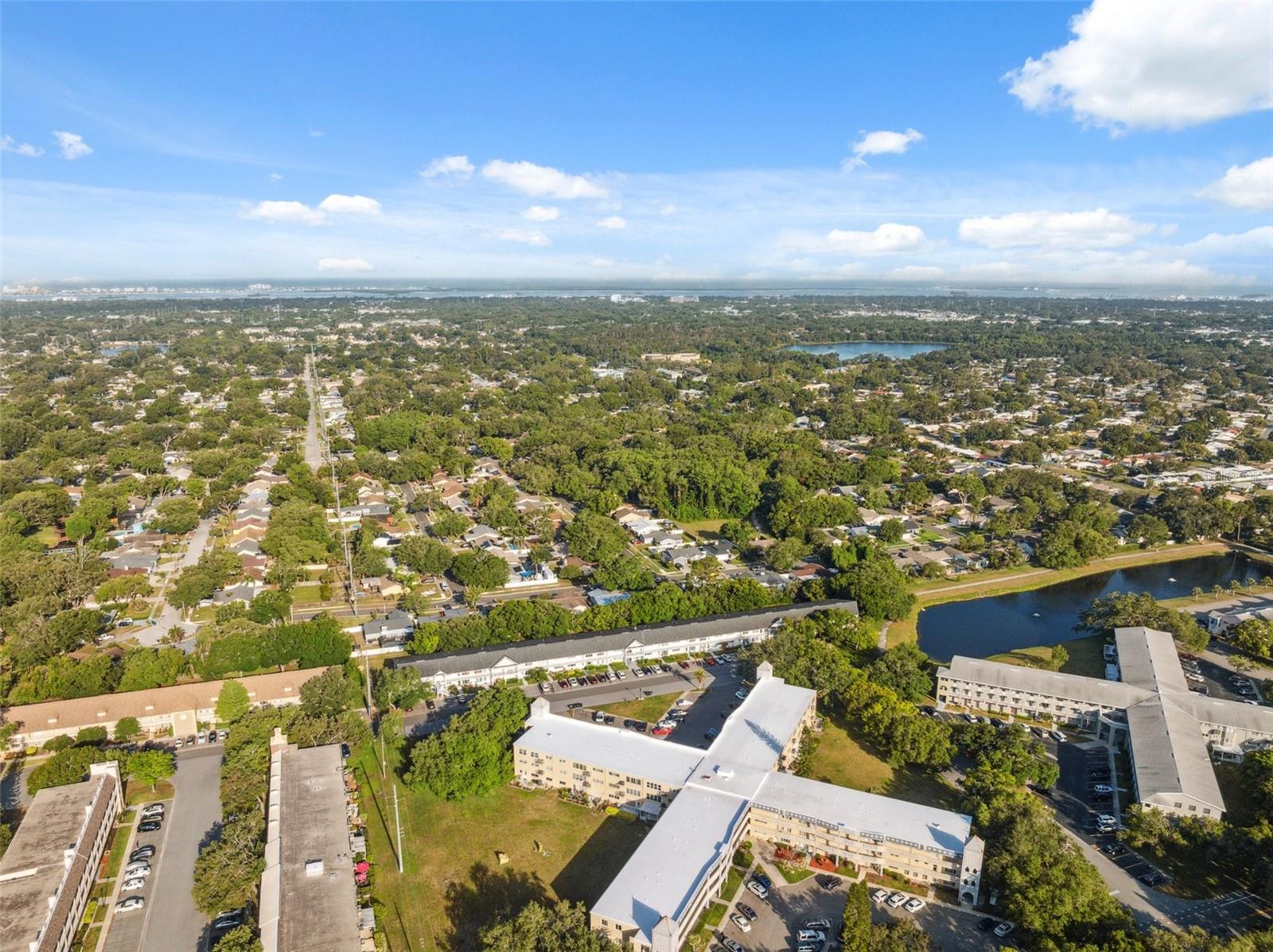 Image 43 of 46 For 2221 Swedish Drive 55