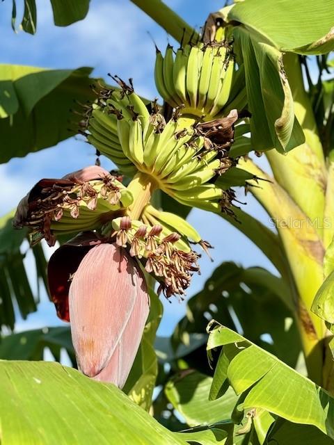 Image 10 of 27 For 4277 Mineral Branch Road