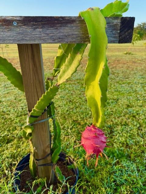 Image 11 of 27 For 4277 Mineral Branch Road