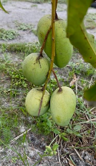 Image 13 of 27 For 4277 Mineral Branch Road