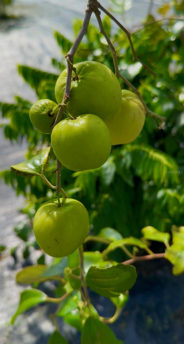 Image 14 of 27 For 4277 Mineral Branch Road