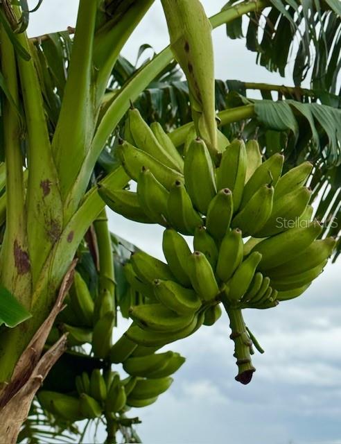 Image 15 of 27 For 4277 Mineral Branch Road