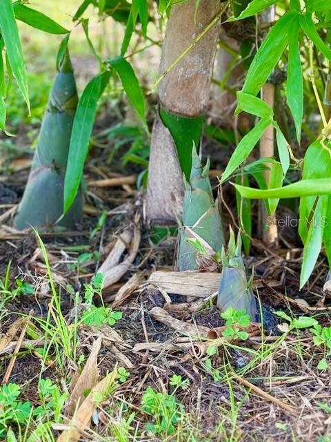 Image 16 of 27 For 4277 Mineral Branch Road