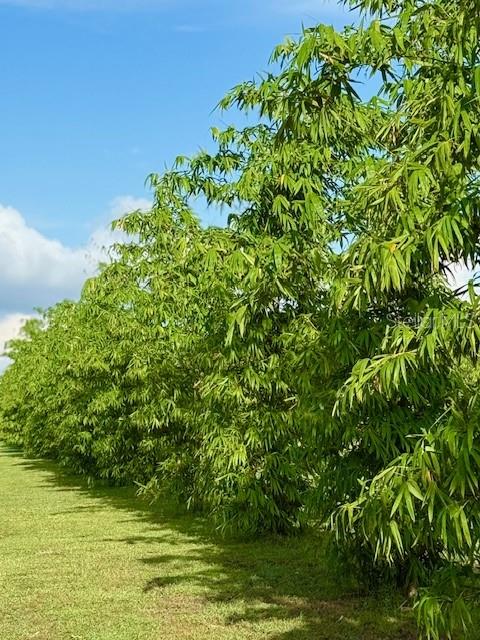 Image 17 of 27 For 4277 Mineral Branch Road