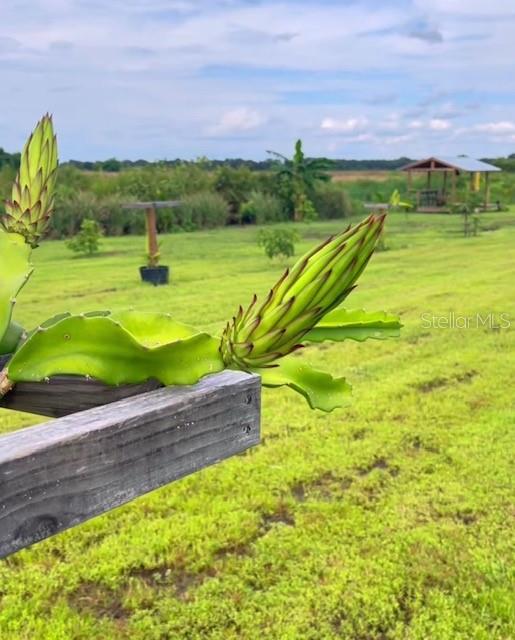 Image 18 of 27 For 4277 Mineral Branch Road