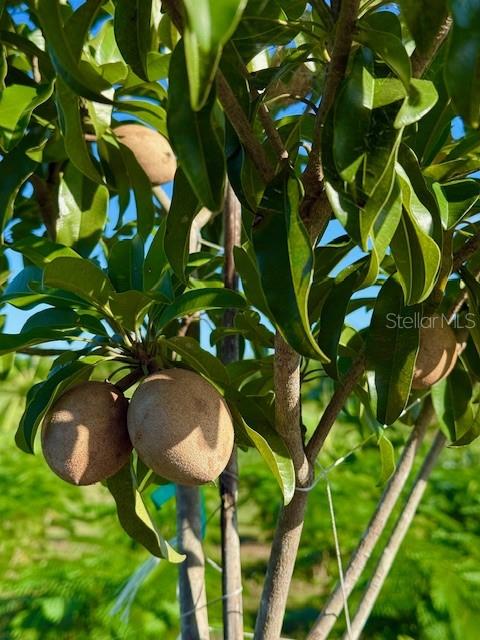 Image 21 of 27 For 4277 Mineral Branch Road