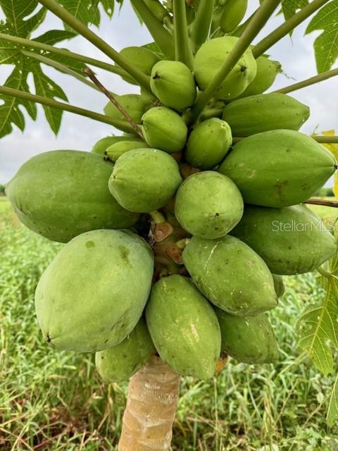 Image 22 of 27 For 4277 Mineral Branch Road