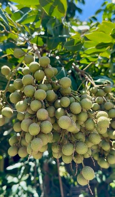 Image 23 of 27 For 4277 Mineral Branch Road