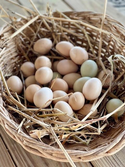 Image 27 of 27 For 4277 Mineral Branch Road