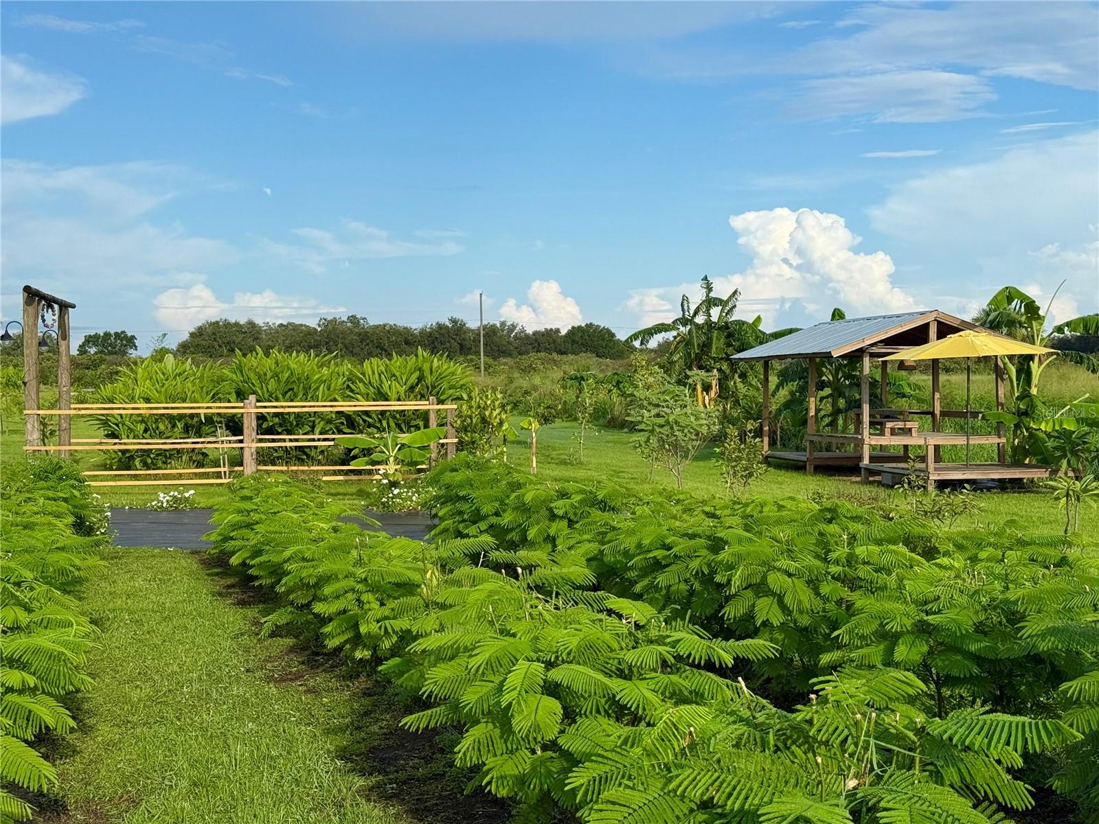 Image 8 of 27 For 4277 Mineral Branch Road