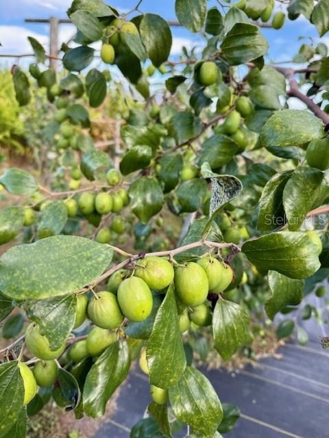 Image 9 of 27 For 4277 Mineral Branch Road