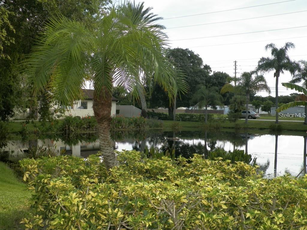 Image 22 of 24 For 6262 142nd Avenue 1310