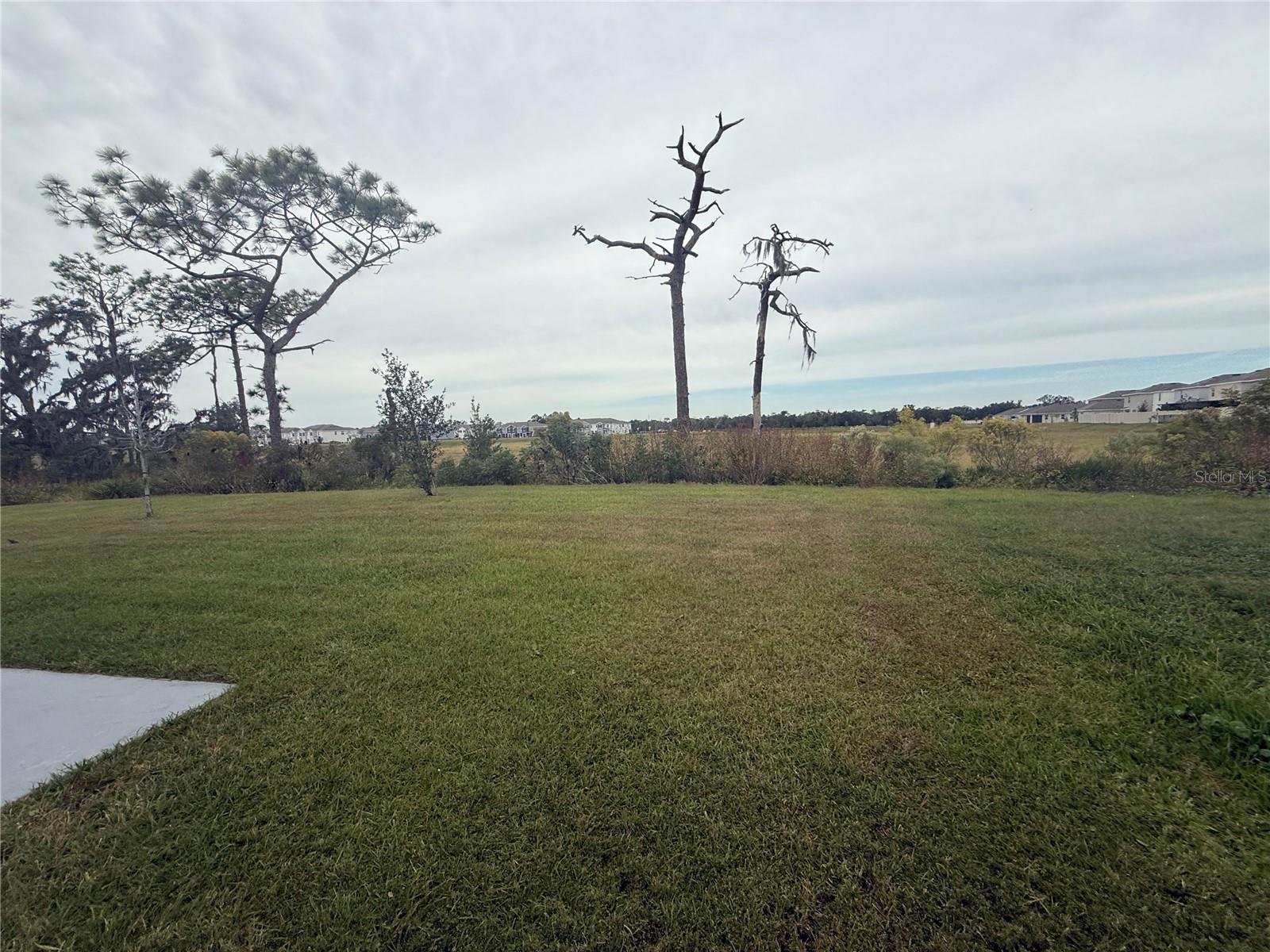 Listing photo id 16 for 5643 Hollingworth Trail