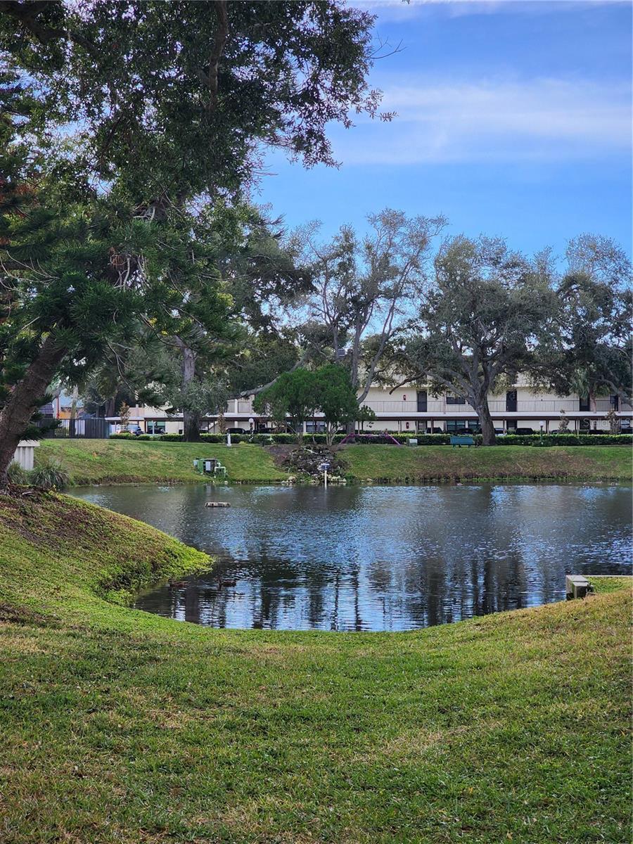 Image 27 of 31 For 14130 Rosemary Lane 6107