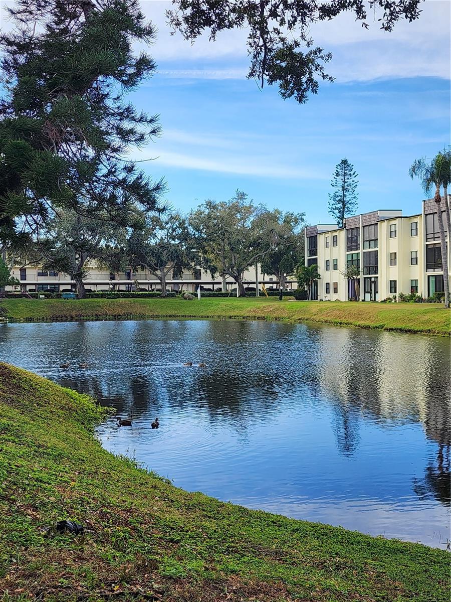 Image 30 of 31 For 14130 Rosemary Lane 6107