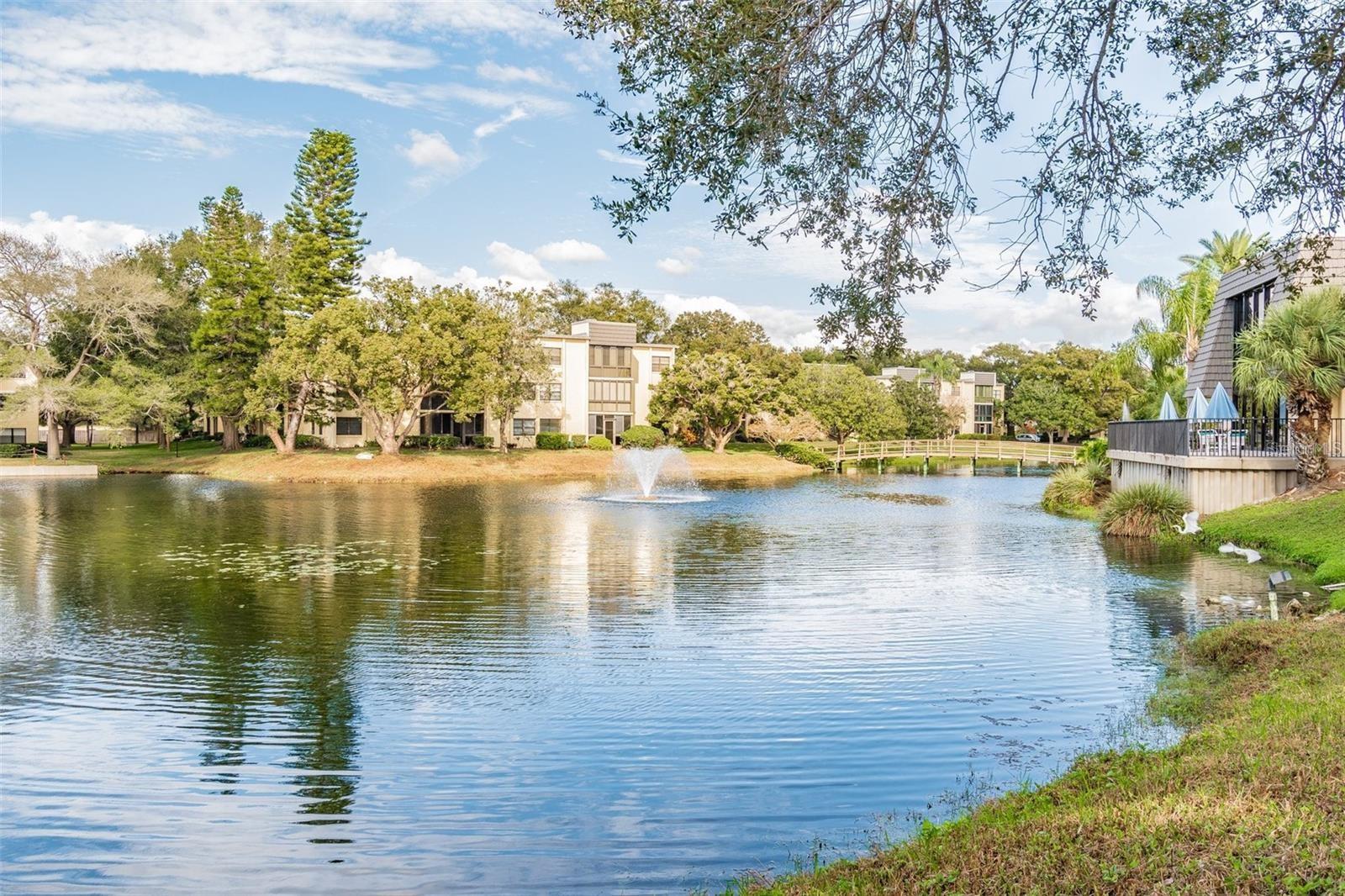 Image 31 of 31 For 14130 Rosemary Lane 6107