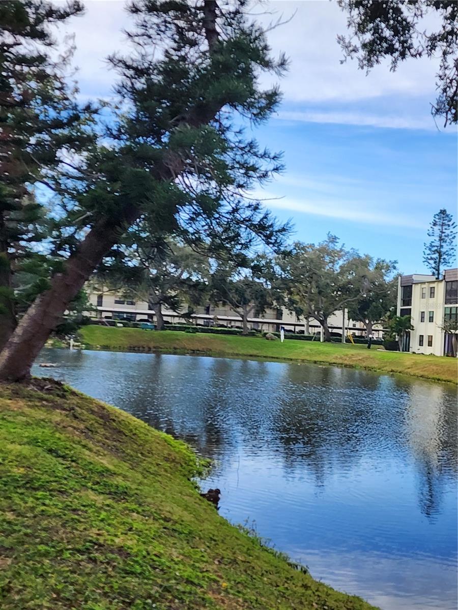 Image 5 of 31 For 14130 Rosemary Lane 6107