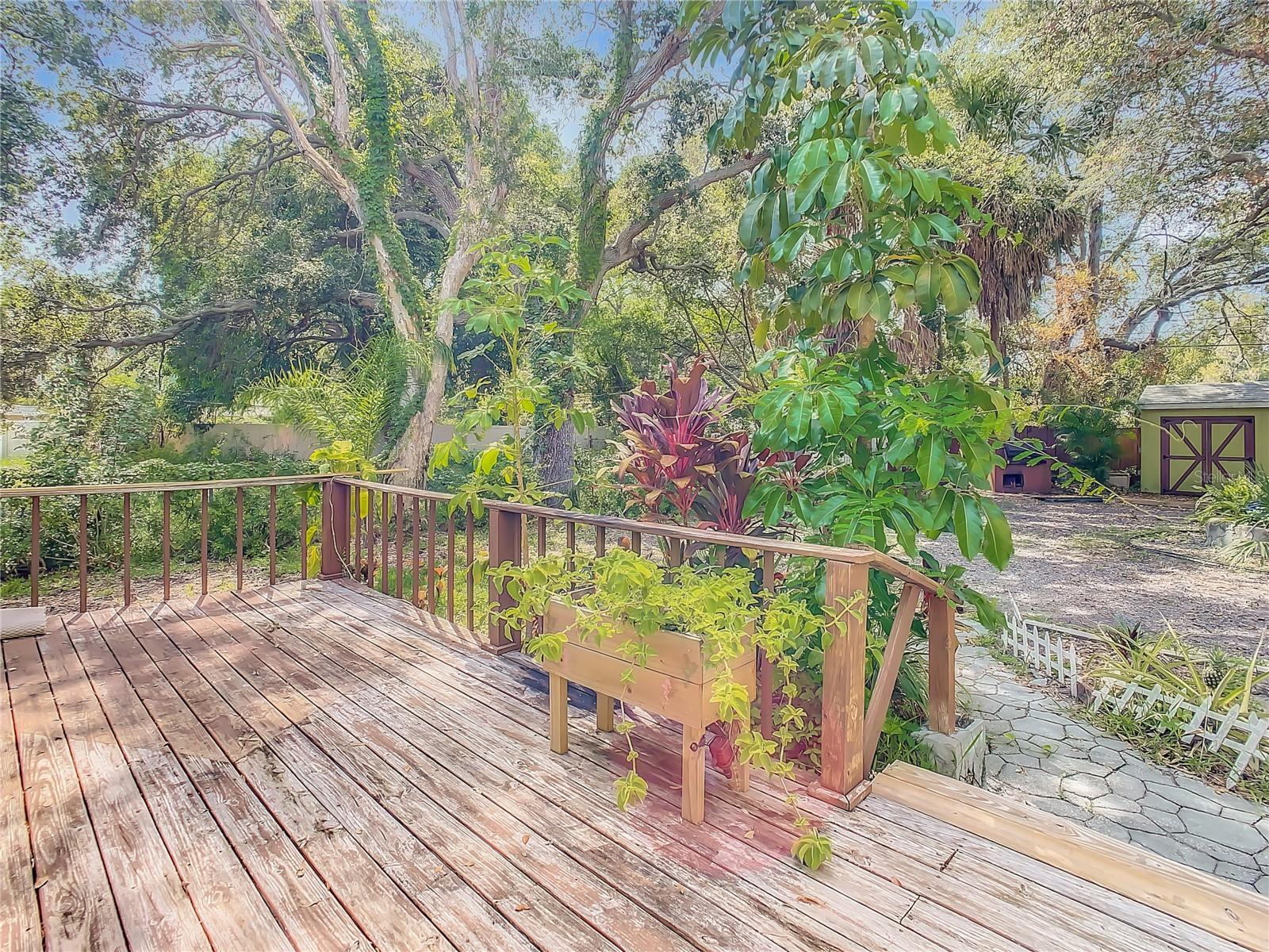 Image 47 of 77 For 3003 Desoto Way S