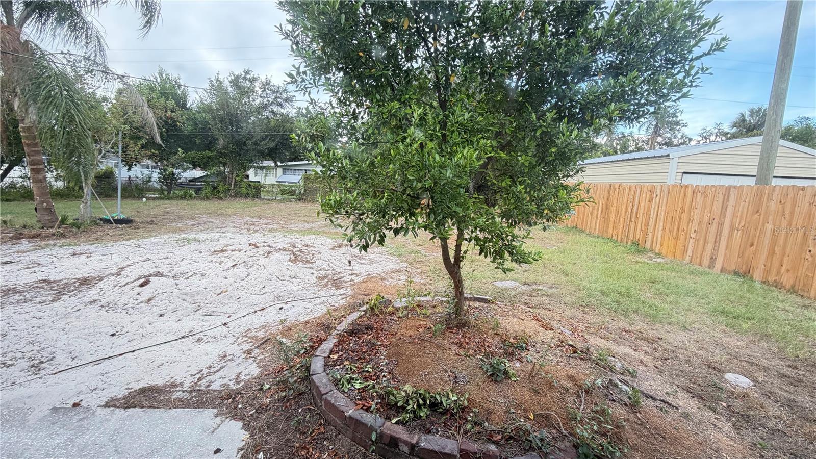 Listing photo id 33 for 406 Dunedin Avenue