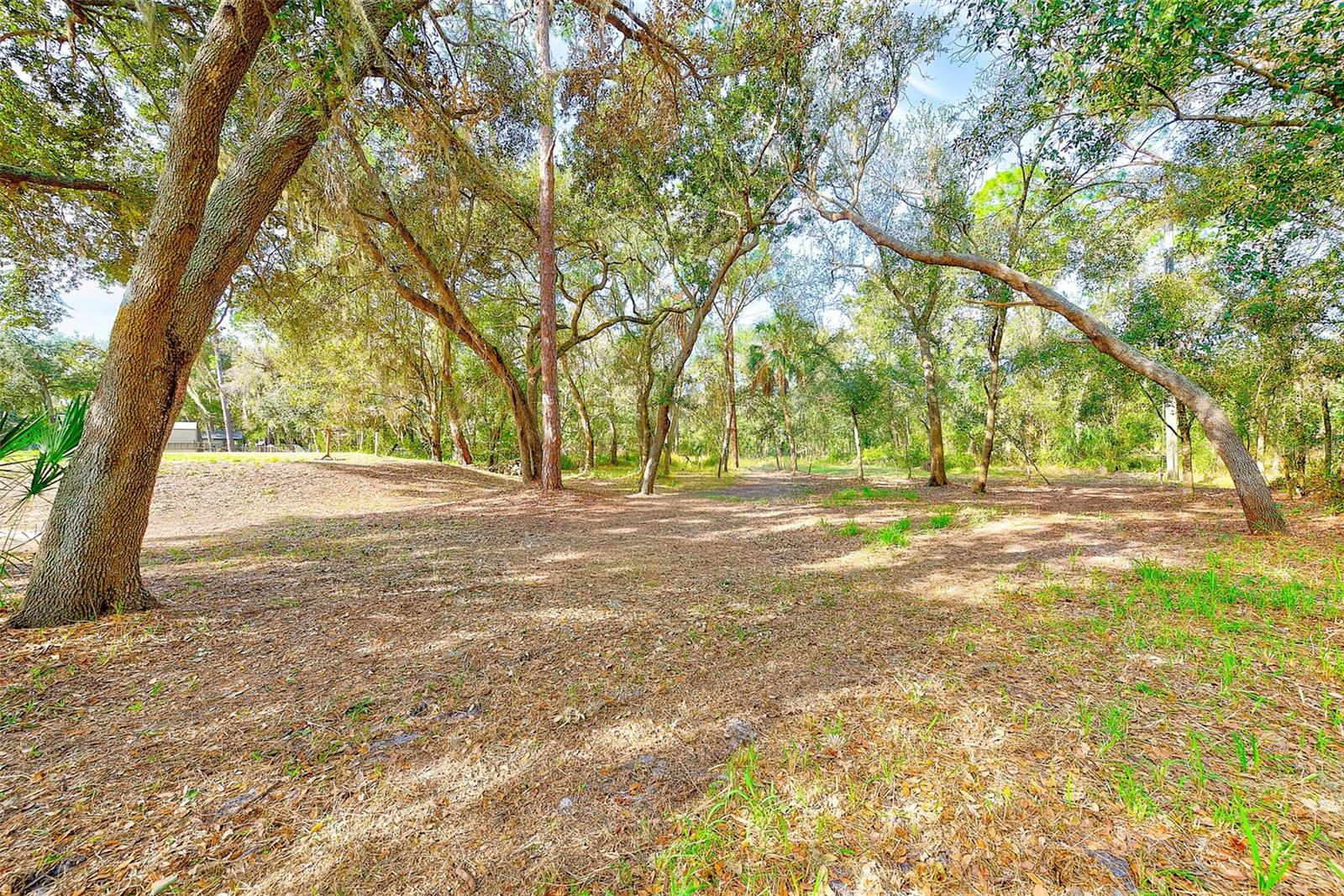 Image 20 of 21 For 14339 Manatee Road