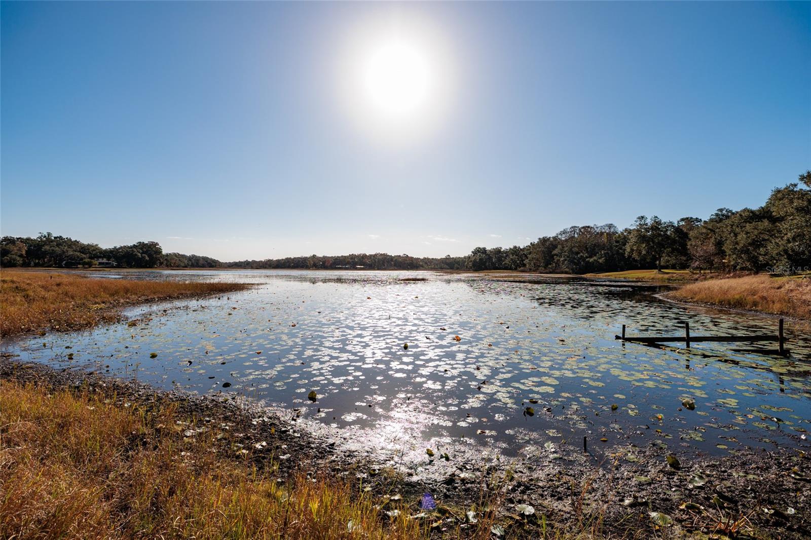 Listing photo id 0 for 8694 San Ramon Court