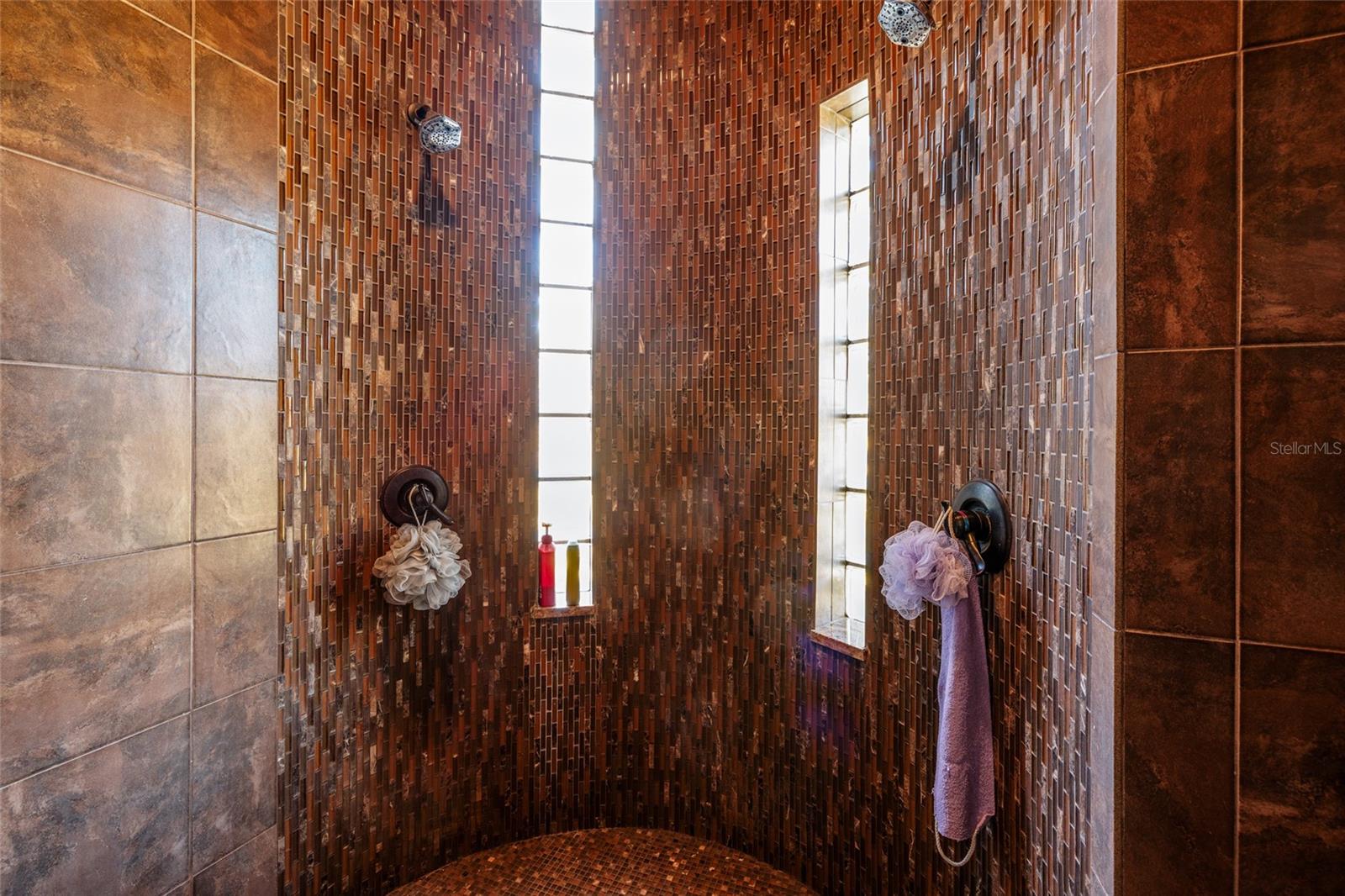 Listing photo id 20 for 8694 San Ramon Court