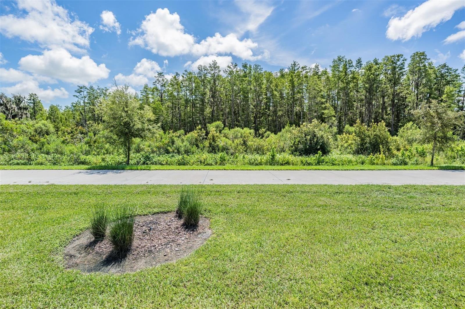 Image 33 of 59 For 8082 Rolling Shell Trail