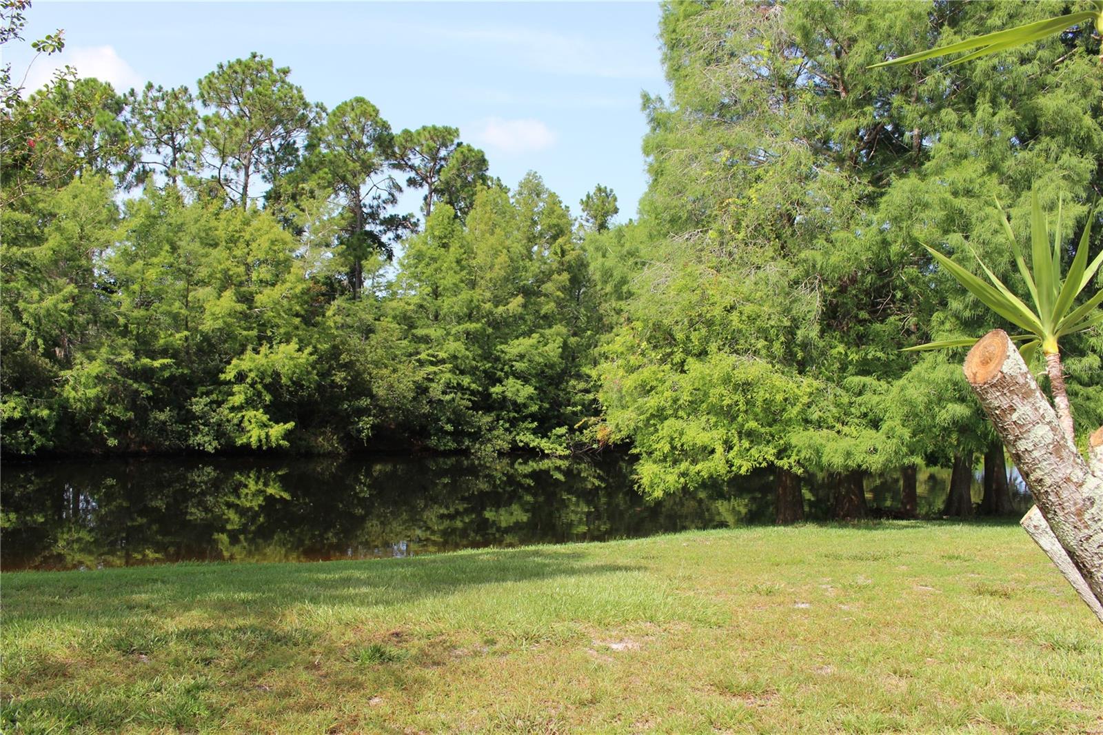 Image 7 of 50 For 3678 Pendlebury Drive