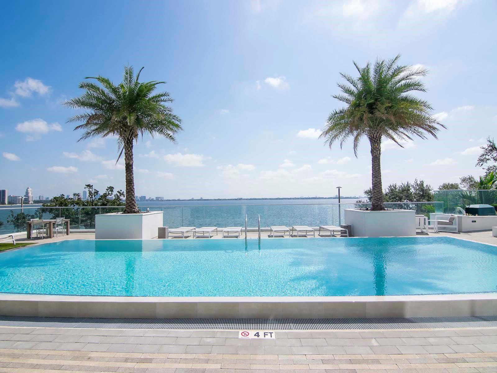 Image 91 of 98 For 3401 Bayshore Boulevard 1704