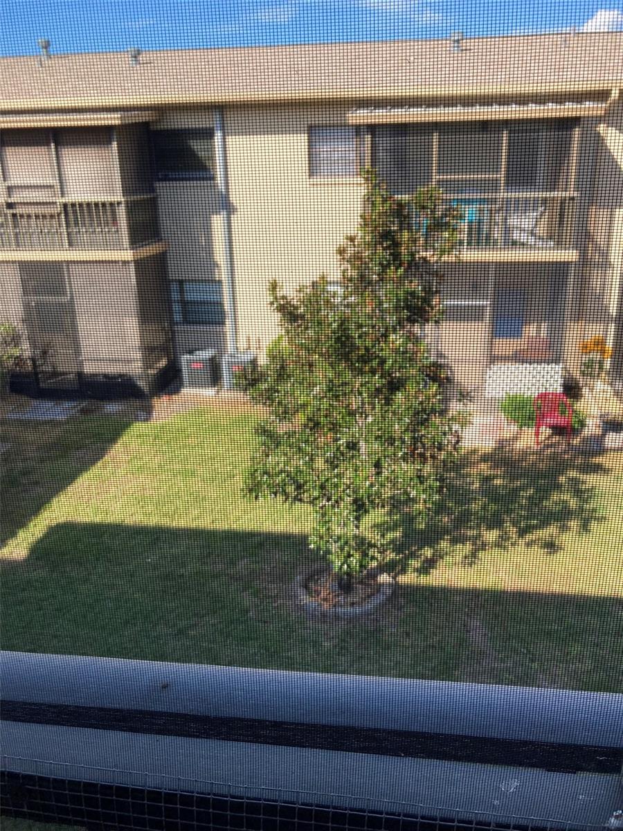 Image 23 of 51 For 5925 Terrace Park Drive N 209