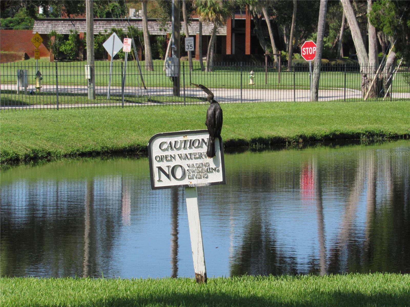 Image 43 of 66 For 3001 58th Avenue S 904