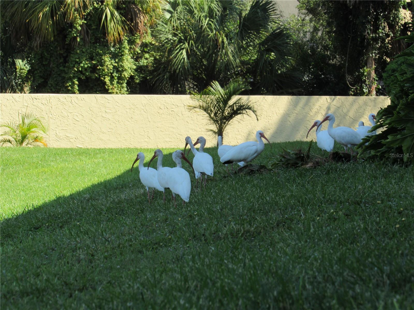 Image 46 of 66 For 3001 58th Avenue S 904