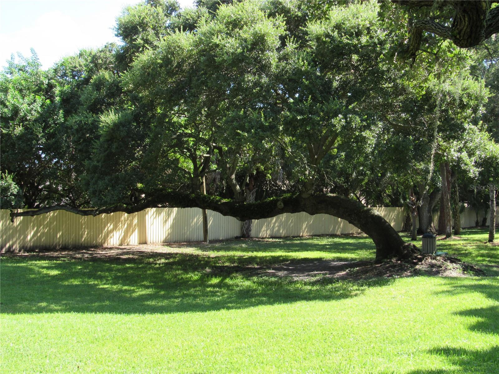 Image 49 of 66 For 3001 58th Avenue S 904