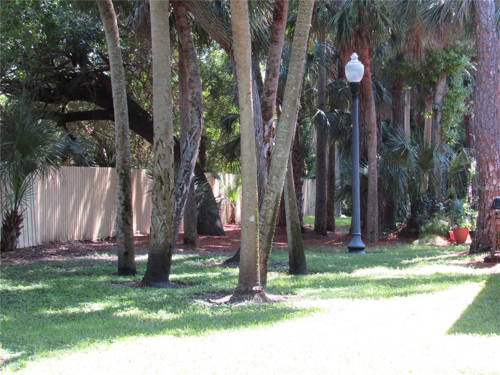 Image 51 of 66 For 3001 58th Avenue S 904