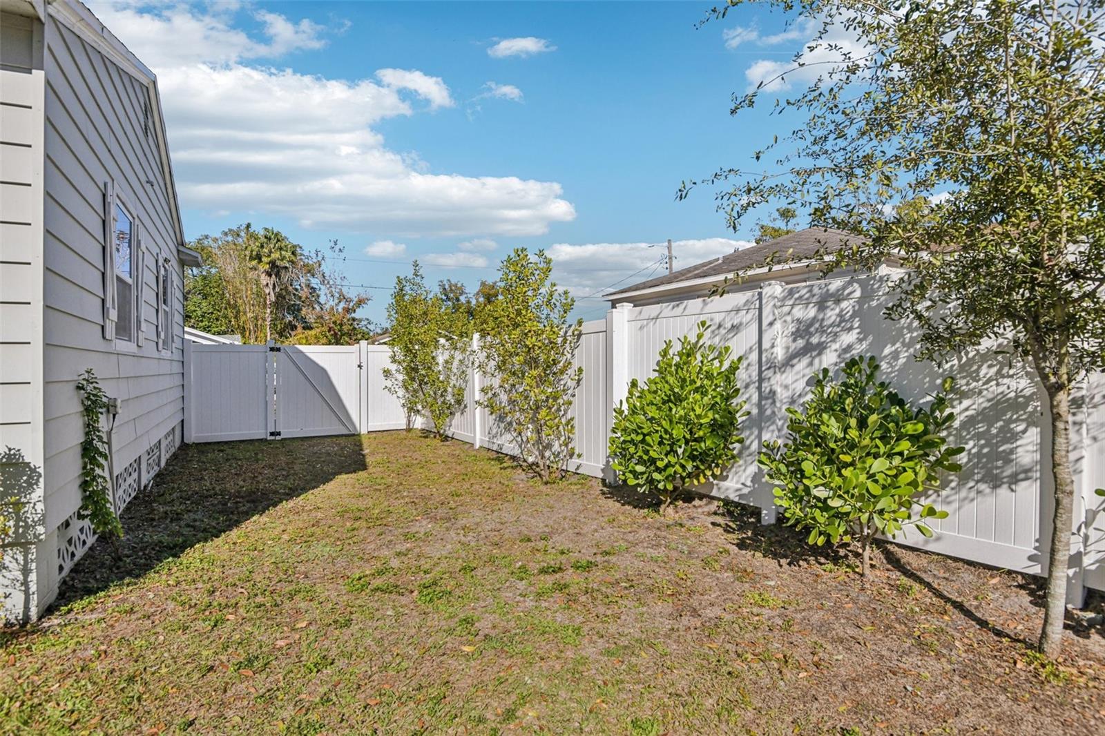 Image 22 of 34 For 704 Fribley Street