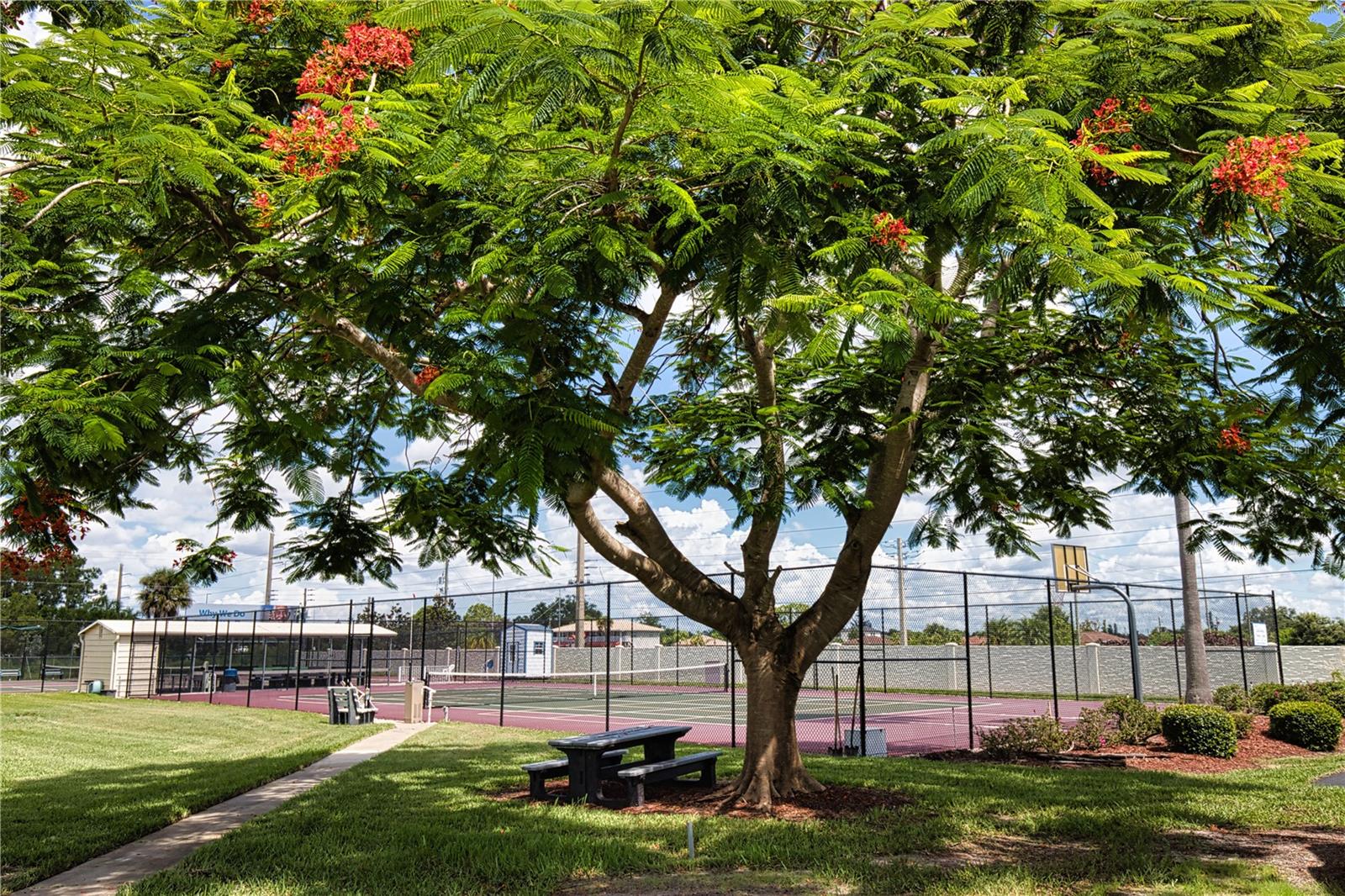 Image 59 of 75 For 320 La Costa