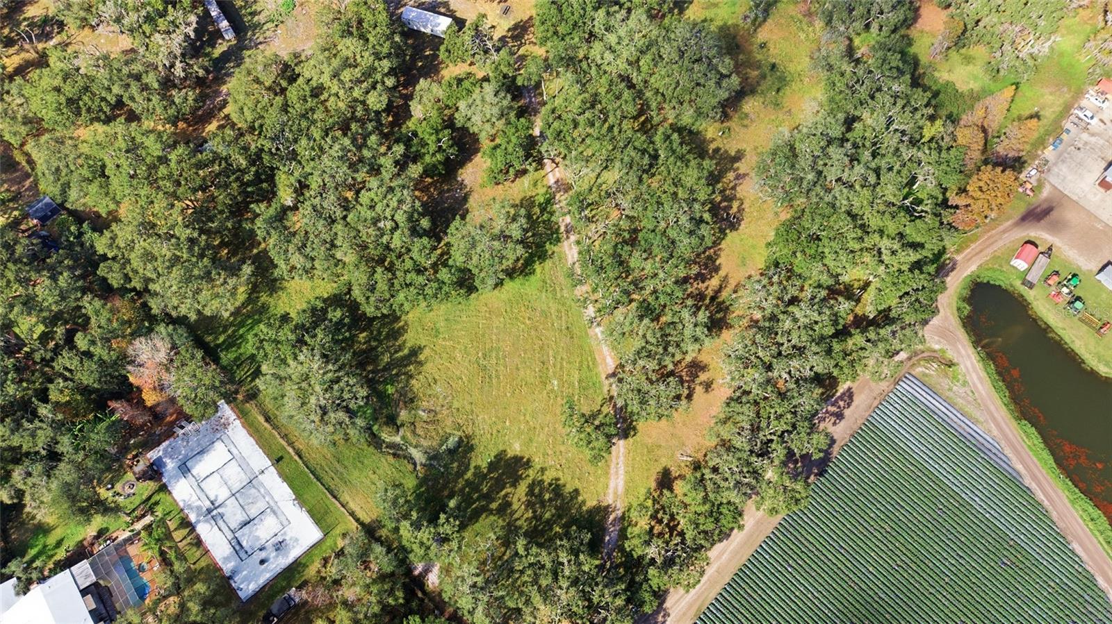 Listing photo id 10 for 12454 Browns Berry Road