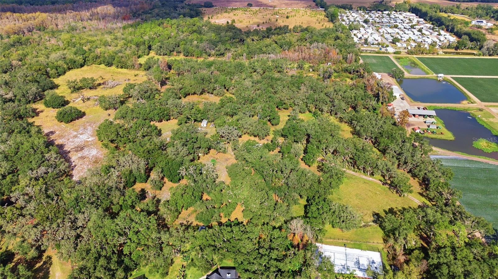 Listing photo id 6 for 12454 Browns Berry Road