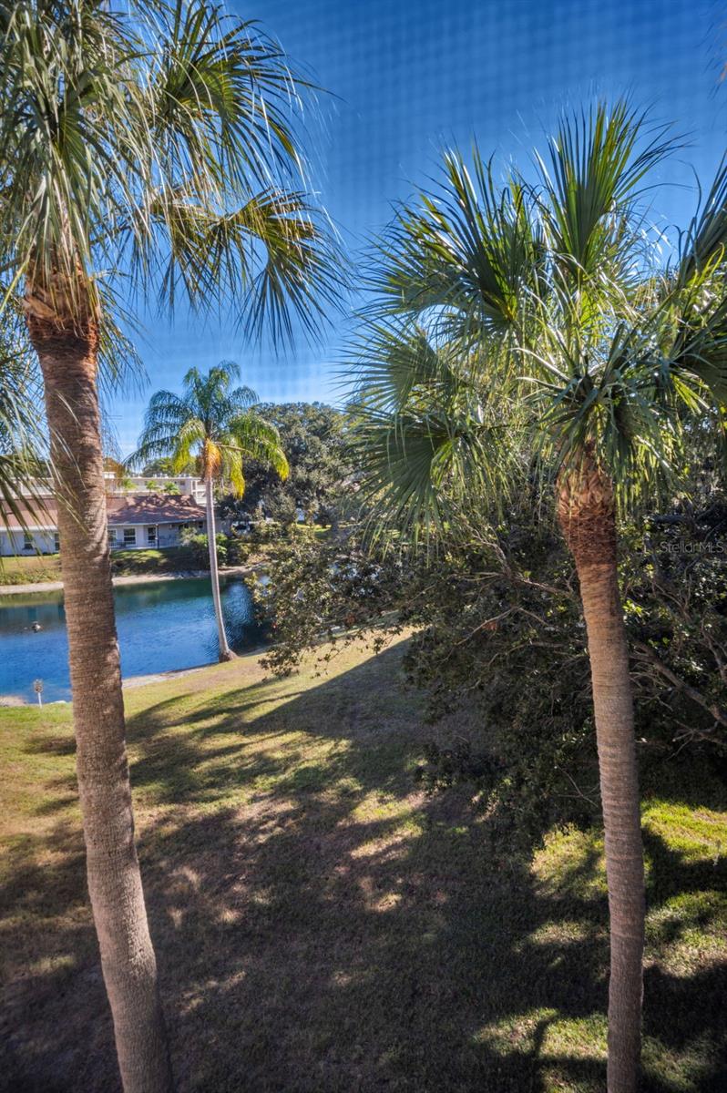 Image 32 of 72 For 841 Patricia Avenue 306